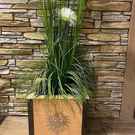 Апартаменты Mountain View Mit Blick *