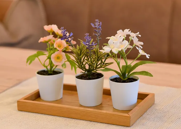 Mountain View Mit Blick * インスブルック