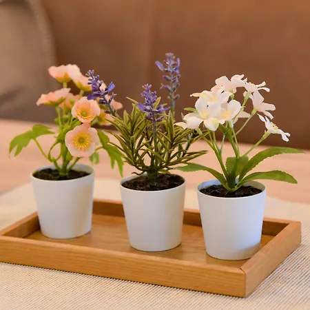 Mountain View Mit Blick * Innsbruck