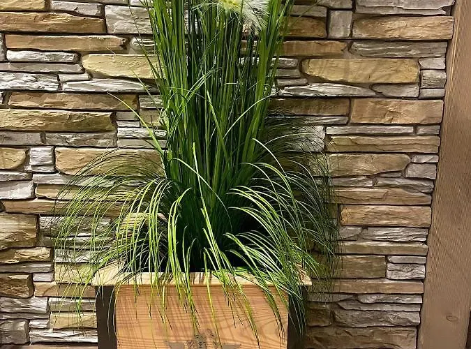 شقة Mountain View Mit Blick *